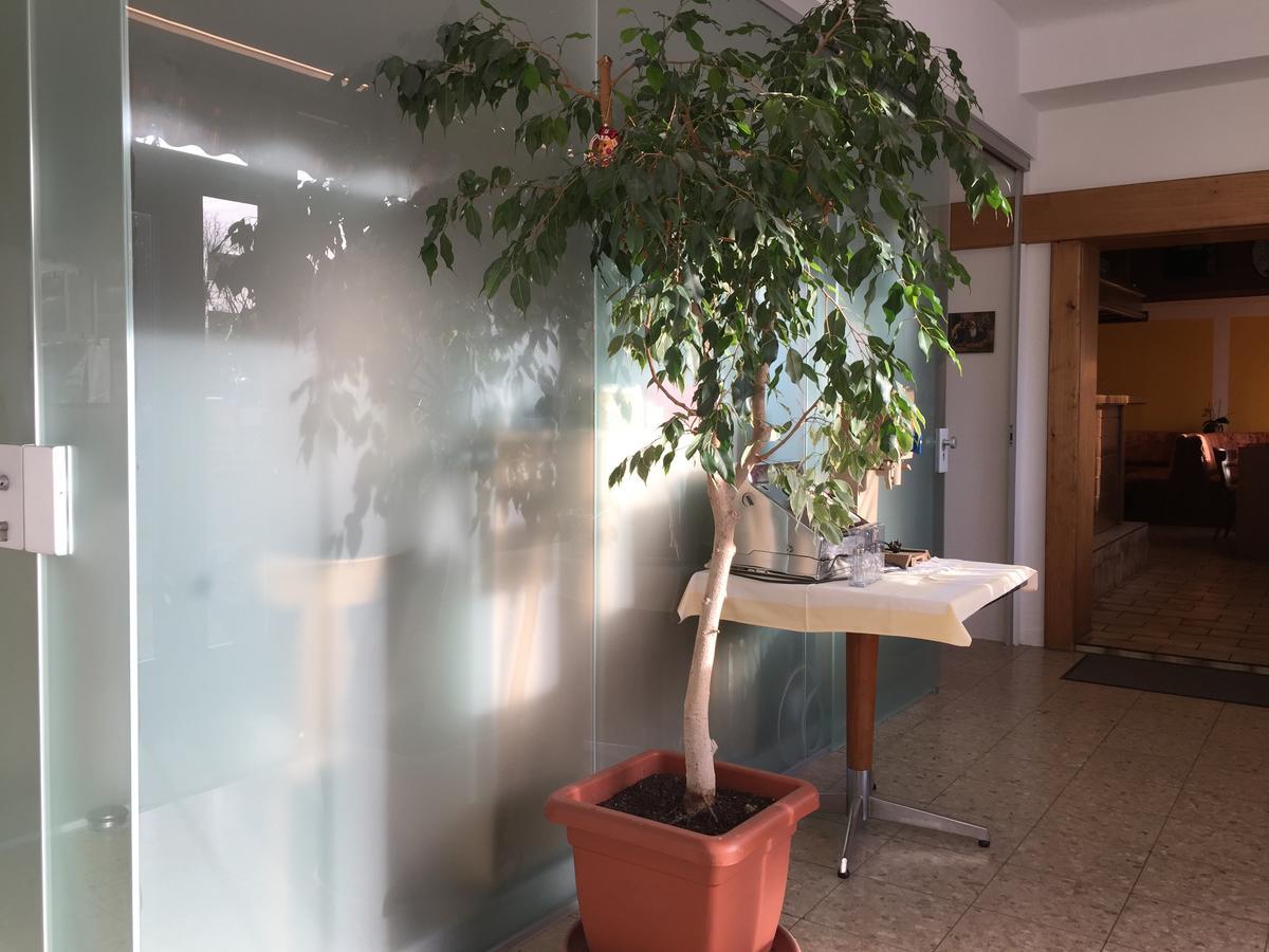 Pension Wachter Хёрбранц Экстерьер фото